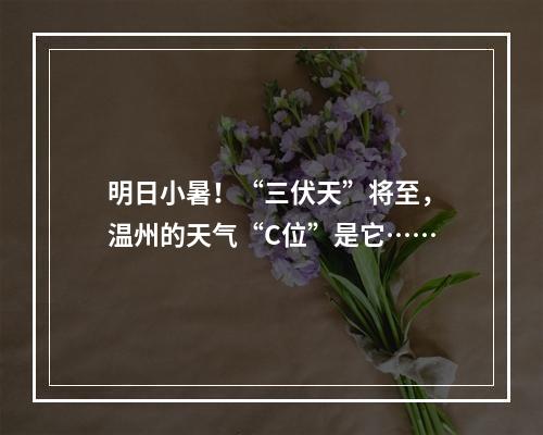明日小暑！“三伏天”将至，温州的天气“C位”是它……
