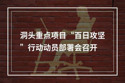 洞头重点项目“百日攻坚”行动动员部署会召开