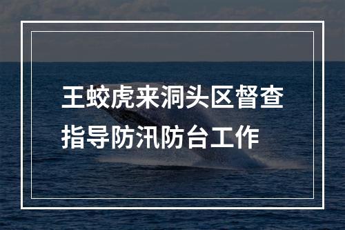 王蛟虎来洞头区督查指导防汛防台工作