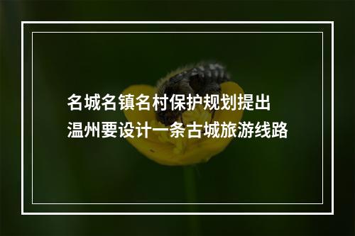 名城名镇名村保护规划提出 温州要设计一条古城旅游线路