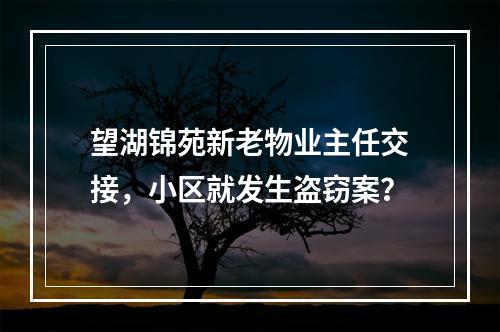 望湖锦苑新老物业主任交接，小区就发生盗窃案？