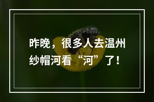 昨晚，很多人去温州纱帽河看“河”了！