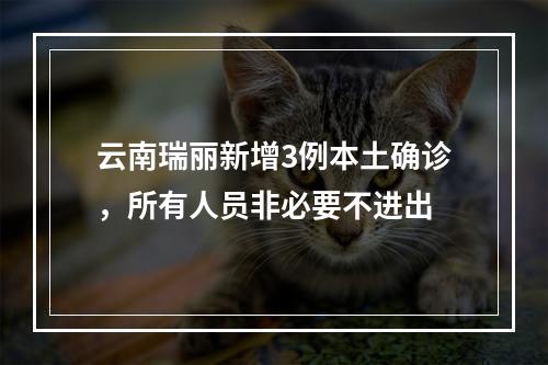 云南瑞丽新增3例本土确诊，所有人员非必要不进出