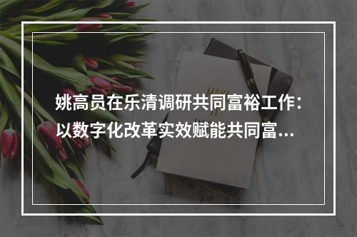姚高员在乐清调研共同富裕工作：以数字化改革实效赋能共同富裕