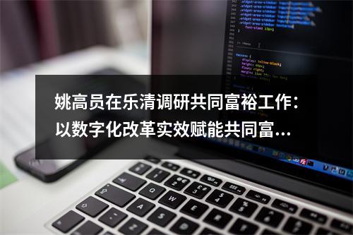 姚高员在乐清调研共同富裕工作：以数字化改革实效赋能共同富裕