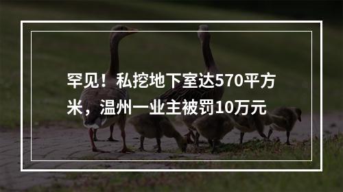 罕见！私挖地下室达570平方米，温州一业主被罚10万元