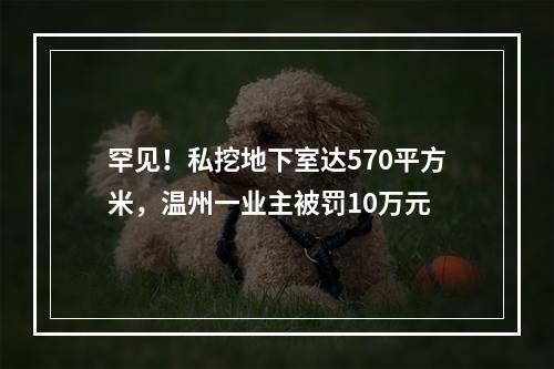罕见！私挖地下室达570平方米，温州一业主被罚10万元