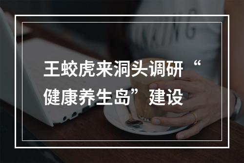 王蛟虎来洞头调研“健康养生岛”建设