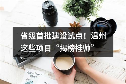 省级首批建设试点！温州这些项目“揭榜挂帅”
