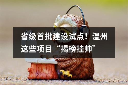 省级首批建设试点！温州这些项目“揭榜挂帅”
