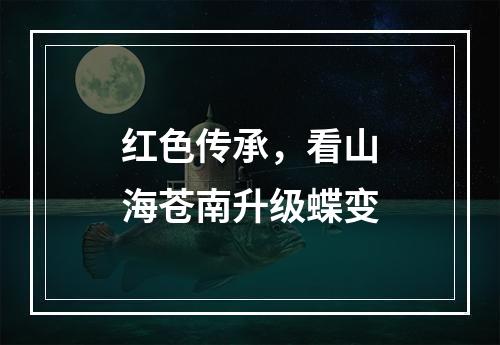 红色传承，看山海苍南升级蝶变