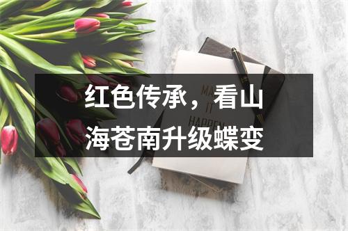 红色传承，看山海苍南升级蝶变