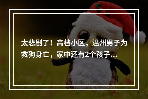 太悲剧了！高档小区，温州男子为救狗身亡，家中还有2个孩子【更新：家属首发声】