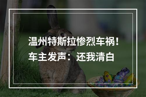温州特斯拉惨烈车祸！车主发声：还我清白