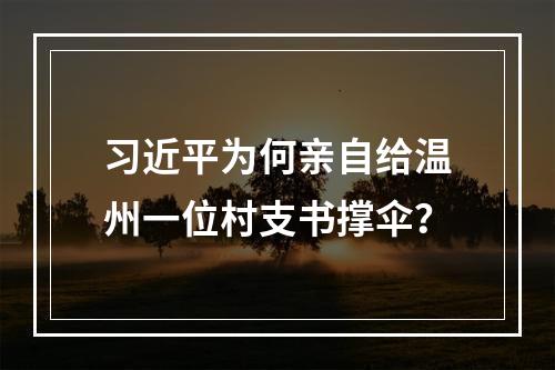 习近平为何亲自给温州一位村支书撑伞？
