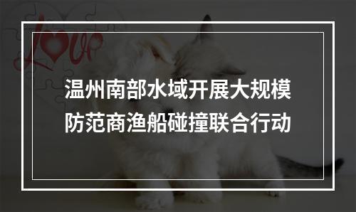 温州南部水域开展大规模防范商渔船碰撞联合行动