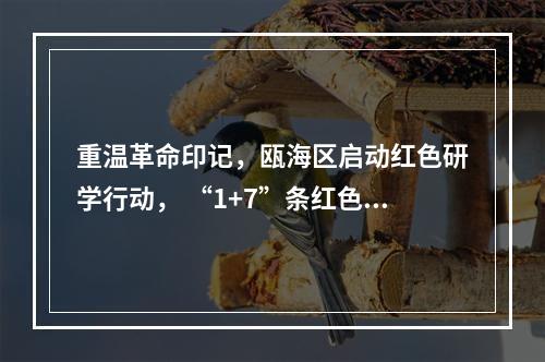 重温革命印记，瓯海区启动红色研学行动， “1+7”条红色研学线路等你来体验