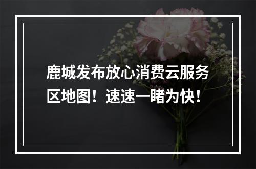 鹿城发布放心消费云服务区地图！速速一睹为快！