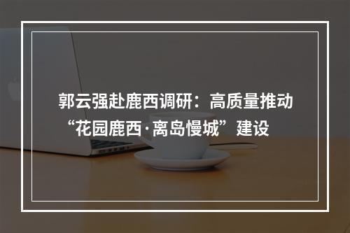 郭云强赴鹿西调研：高质量推动“花园鹿西·离岛慢城”建设