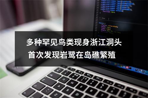 多种罕见鸟类现身浙江洞头 首次发现岩鹭在岛礁繁殖