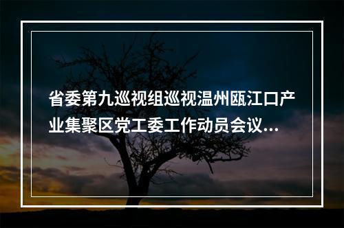 省委第九巡视组巡视温州瓯江口产业集聚区党工委工作动员会议召开