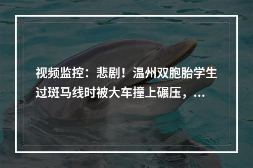 视频监控：悲剧！温州双胞胎学生过斑马线时被大车撞上碾压，均不幸身亡