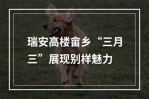瑞安高楼畲乡“三月三”展现别样魅力