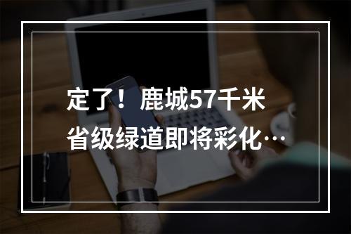 定了！鹿城57千米省级绿道即将彩化…