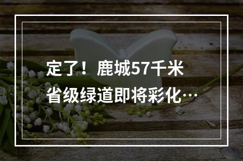 定了！鹿城57千米省级绿道即将彩化…