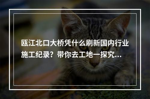 瓯江北口大桥凭什么刷新国内行业施工纪录？带你去工地一探究竟