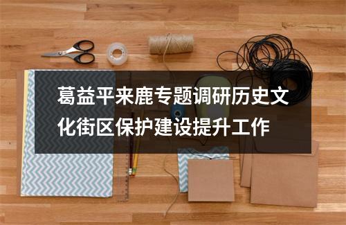 葛益平来鹿专题调研历史文化街区保护建设提升工作