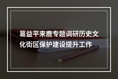 葛益平来鹿专题调研历史文化街区保护建设提升工作