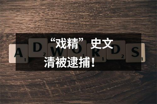 “戏精”史文清被逮捕！