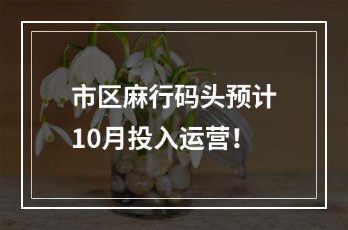 市区麻行码头预计10月投入运营！