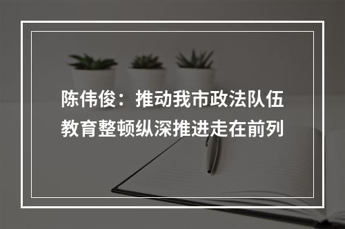 陈伟俊：推动我市政法队伍教育整顿纵深推进走在前列