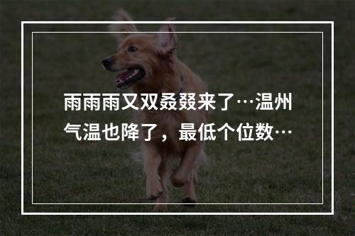 雨雨雨又双叒叕来了…温州气温也降了，最低个位数…