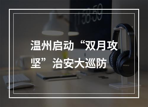 温州启动“双月攻坚”治安大巡防