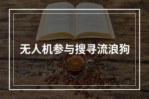 无人机参与搜寻流浪狗