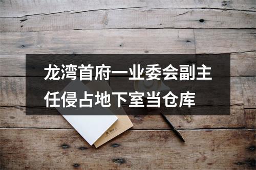 龙湾首府一业委会副主任侵占地下室当仓库