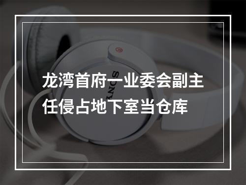 龙湾首府一业委会副主任侵占地下室当仓库