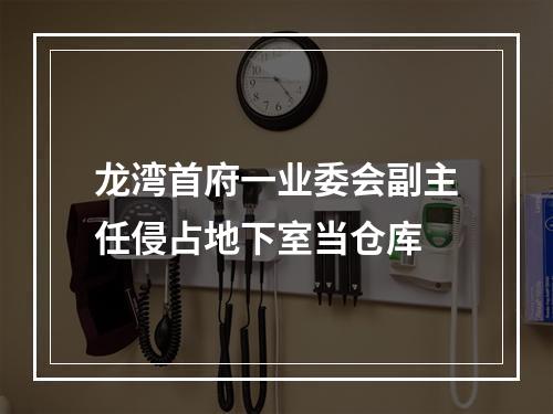 龙湾首府一业委会副主任侵占地下室当仓库