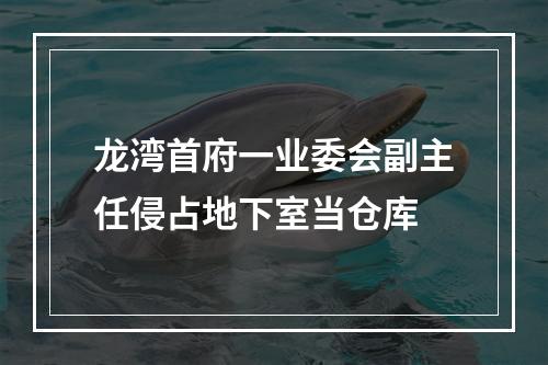 龙湾首府一业委会副主任侵占地下室当仓库