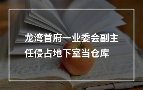 龙湾首府一业委会副主任侵占地下室当仓库
