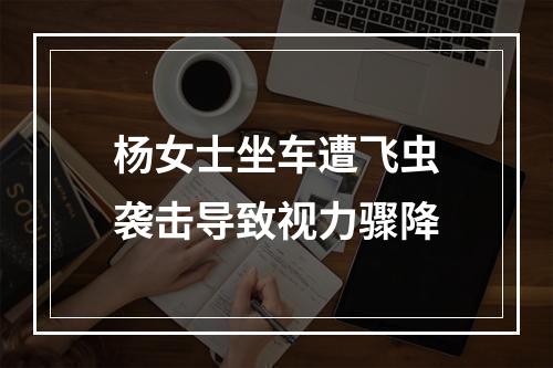杨女士坐车遭飞虫袭击导致视力骤降