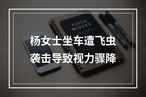 杨女士坐车遭飞虫袭击导致视力骤降