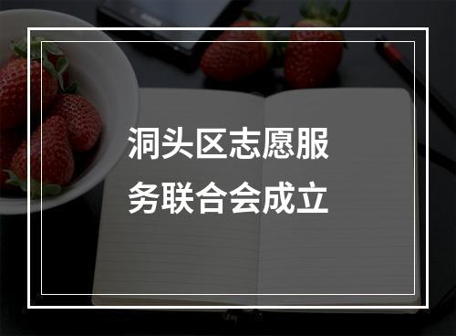 洞头区志愿服务联合会成立