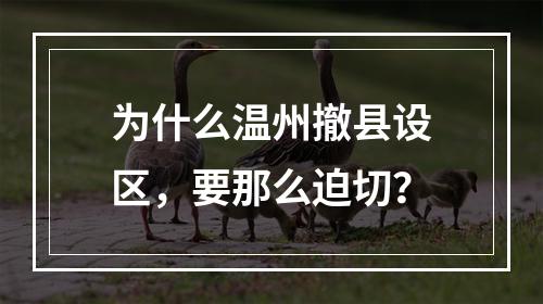 为什么温州撤县设区，要那么迫切？
