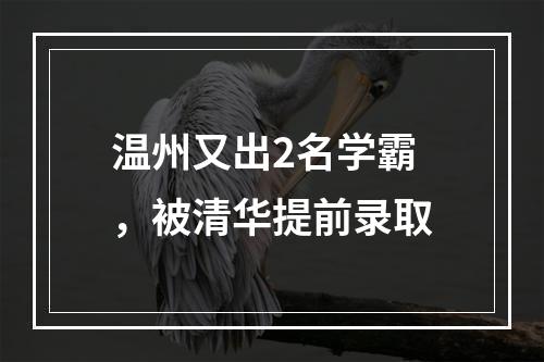 温州又出2名学霸，被清华提前录取