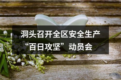 洞头召开全区安全生产“百日攻坚”动员会