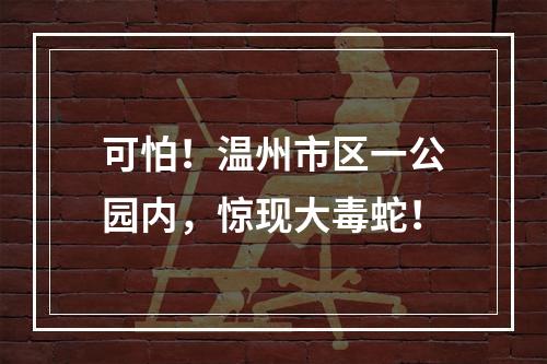 可怕！温州市区一公园内，惊现大毒蛇！